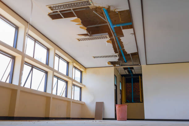 Best Water damage cleanup near me  in County Center, VA
