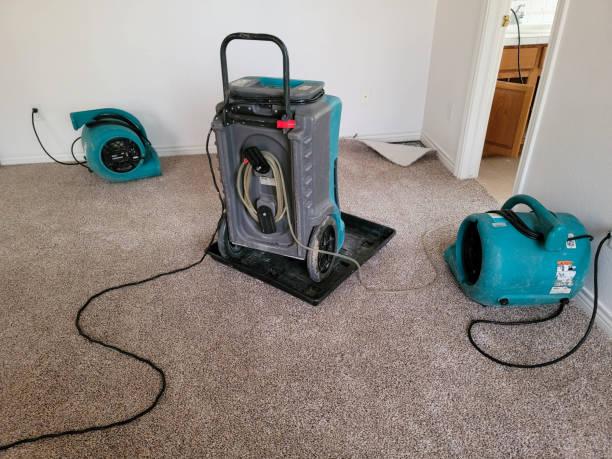 Best Fire Damage Restoration  in County Center, VA