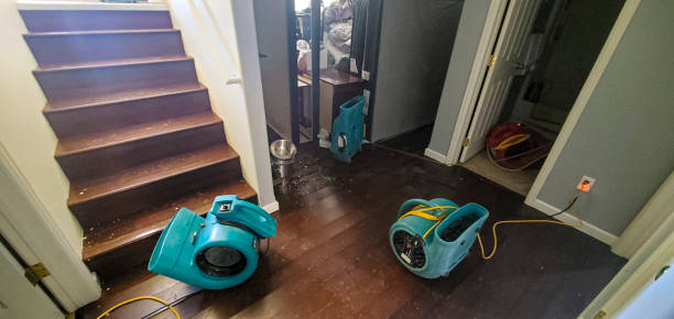 Best Mold removal after water damage  in County Center, VA