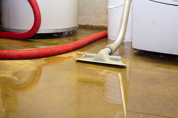 Best Carpet water damage restoration  in County Center, VA