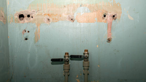 Reliable VA Water damage restoration Solutions
