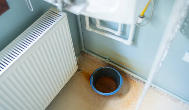 Best Ceiling water damage repair  in County Center, VA